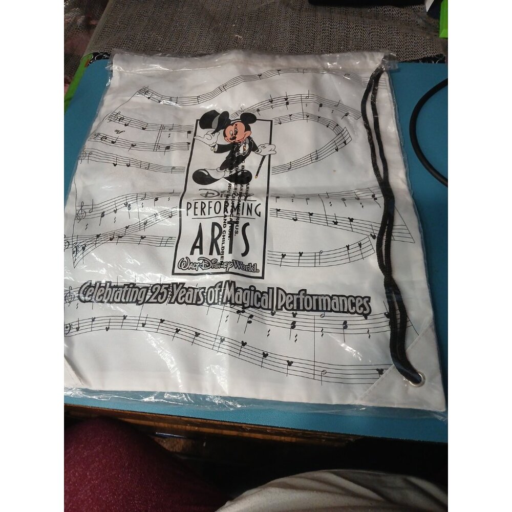Disney Backpack Performing Arts Drawstring Bag Mickey Mouse Walt Disney World 25